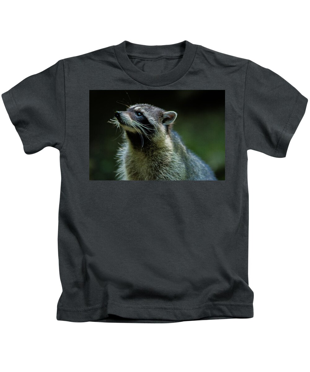 Nature Kids T-Shirt featuring the photograph Raccoon 1 by Jason Brooks