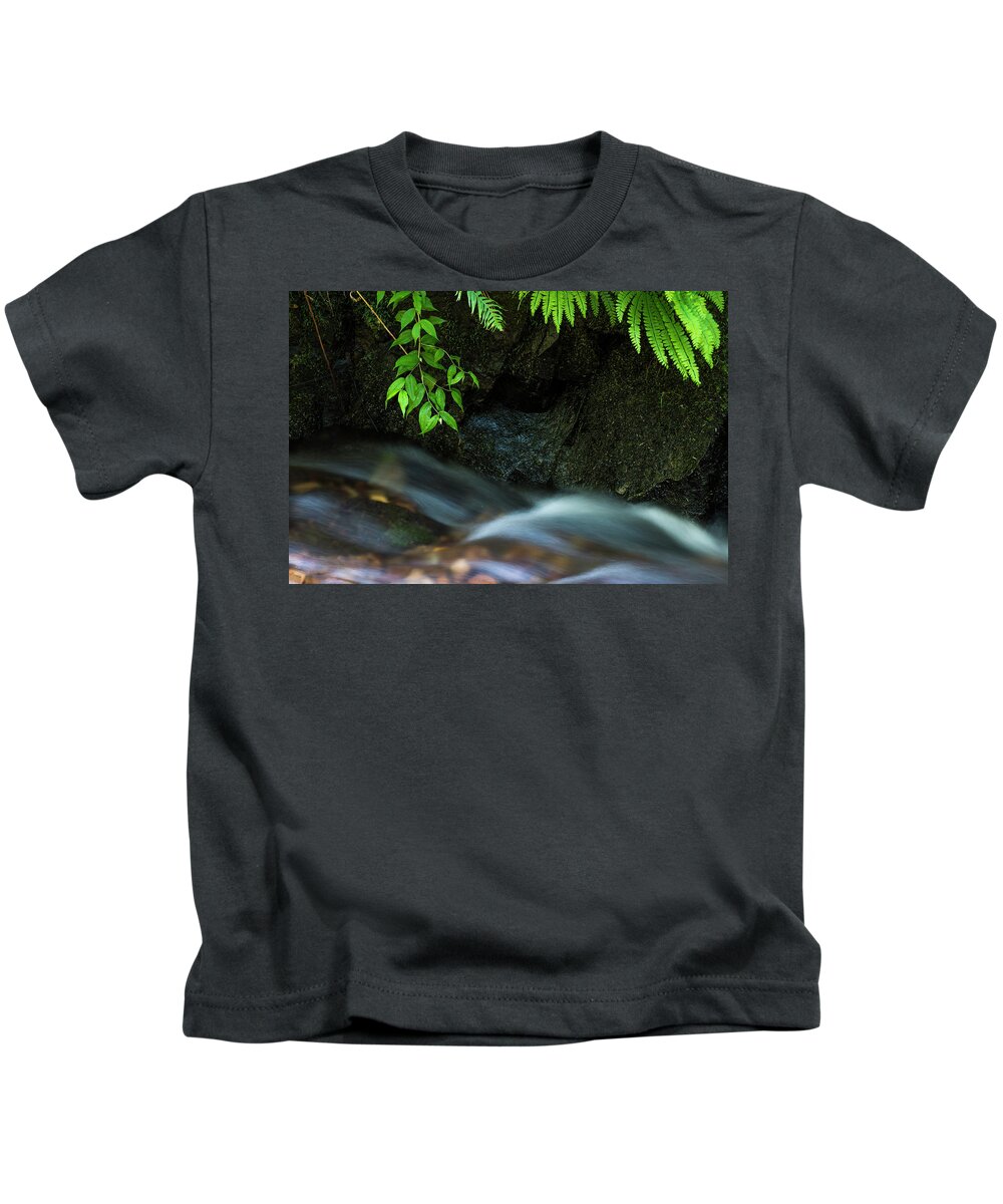 Cannon Beach Kids T-Shirt featuring the photograph Rain Forest Stream by Robert Potts