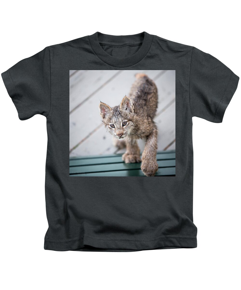 Lynx Kids T-Shirt featuring the photograph Does click mean edible by Tim Newton
