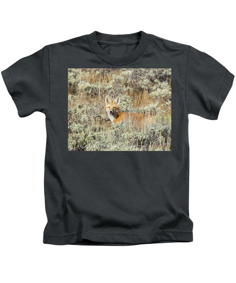 Red Fox Kids T-Shirt featuring the photograph Red Fox in Sage Brush by Stephen Johnson