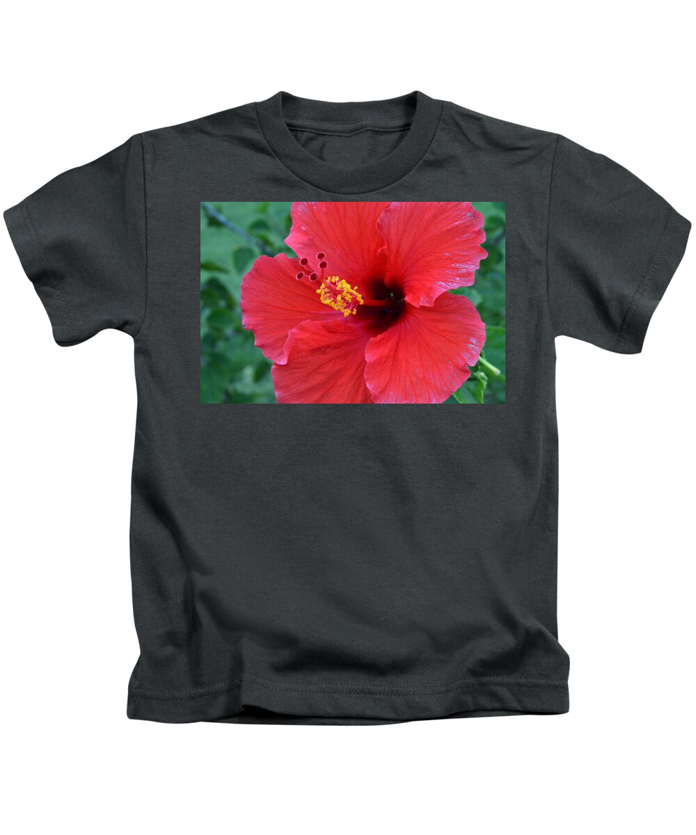 Flower Kids T-Shirt featuring the photograph Red Hibiscus 1 by Amy Fose