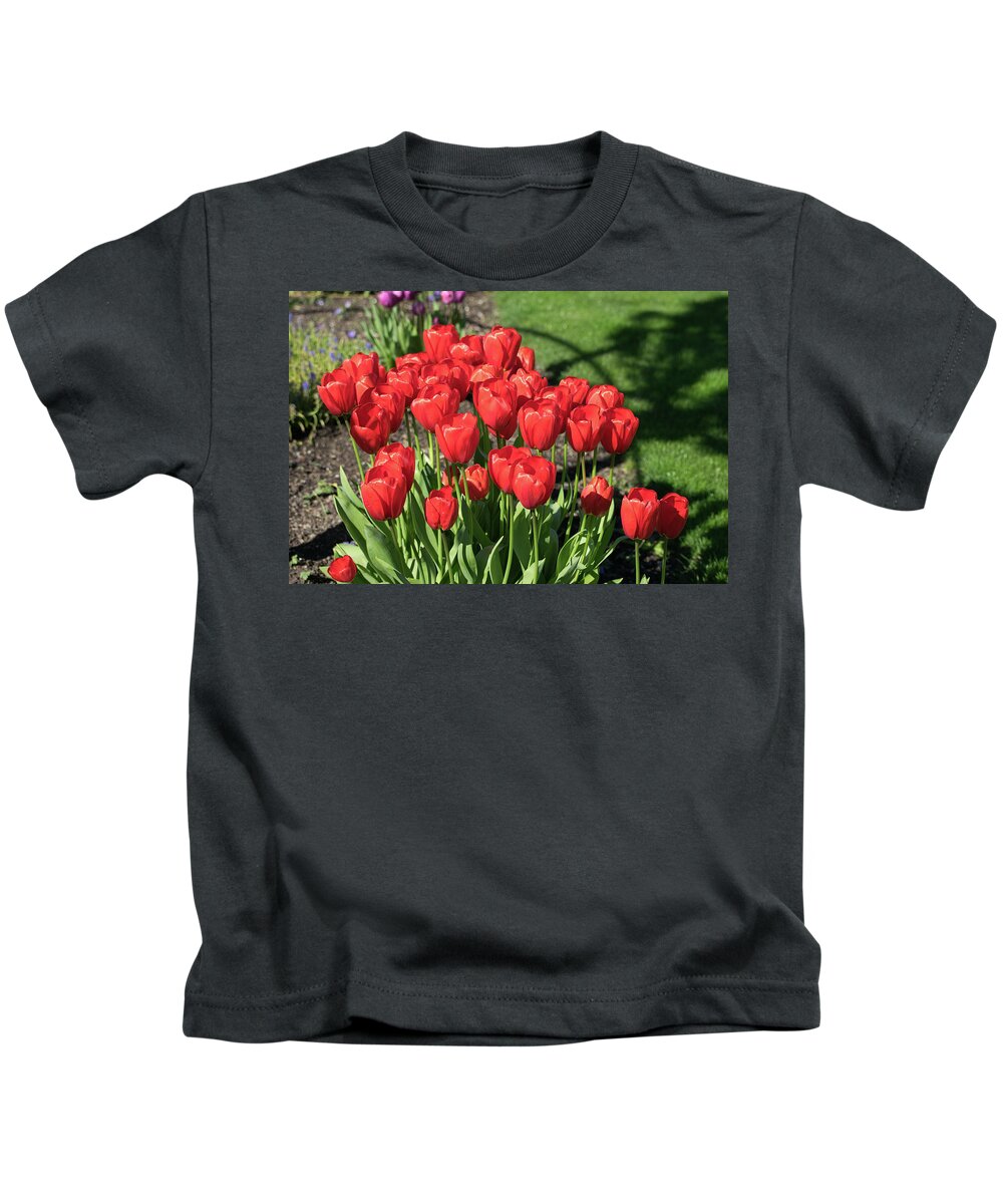 Red; Tulips; Springtime; Flowers; Bouquet; Skagit County; Spring; Farm; Fertile; Crops; Agriculture; Mt Vernon; Farmland; Plant; Grow; Cultivate; Harvest; Rural; Beauty; Washington; Skagit County Kids T-Shirt featuring the photograph Red Royalty by Tom Cochran