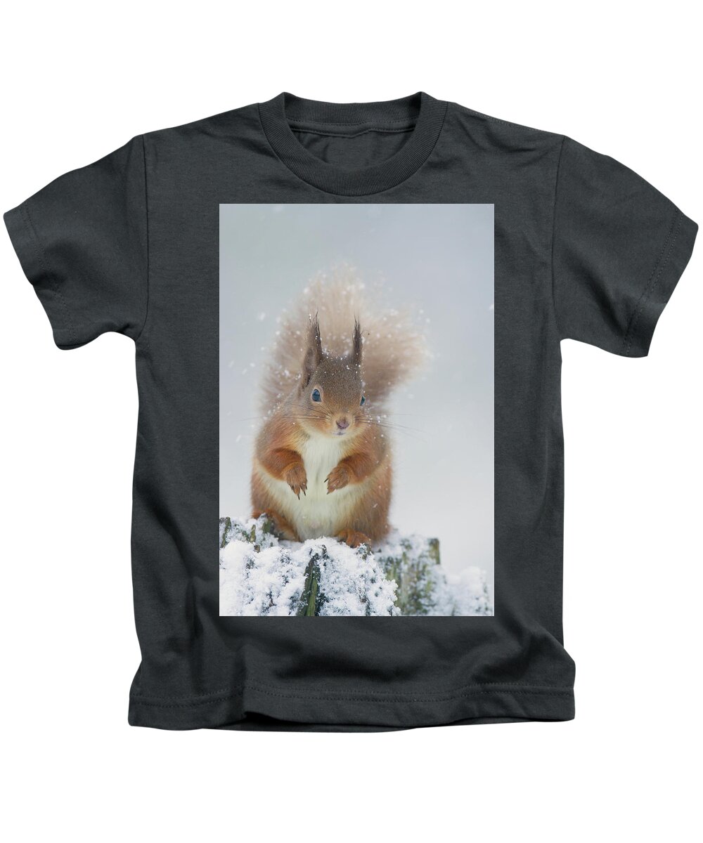 Red Kids T-Shirt featuring the photograph Red Squirrel In Winter by Pete Walkden