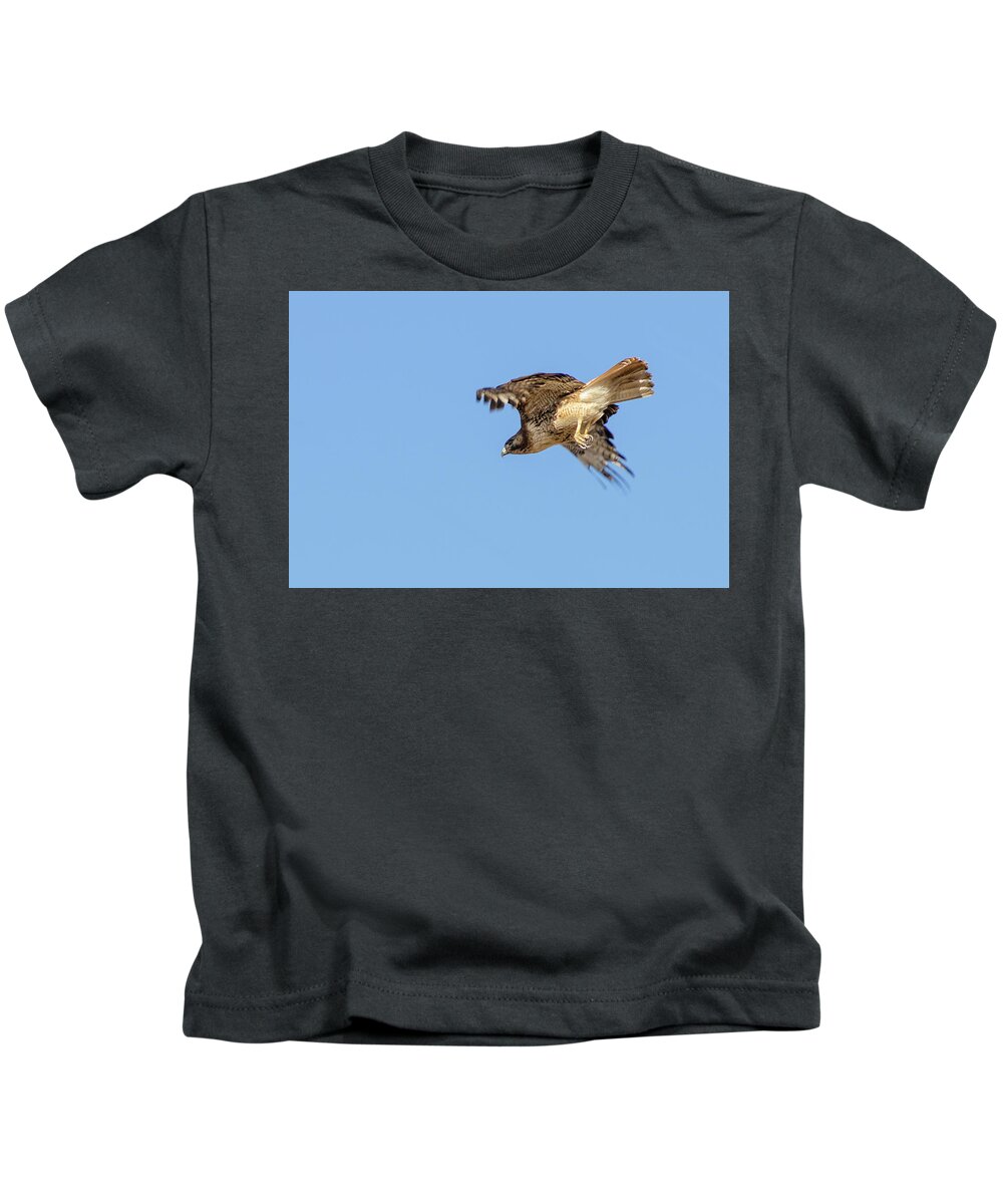Hawk Kids T-Shirt featuring the photograph Red Tailed Hawk 2 by Rick Mosher