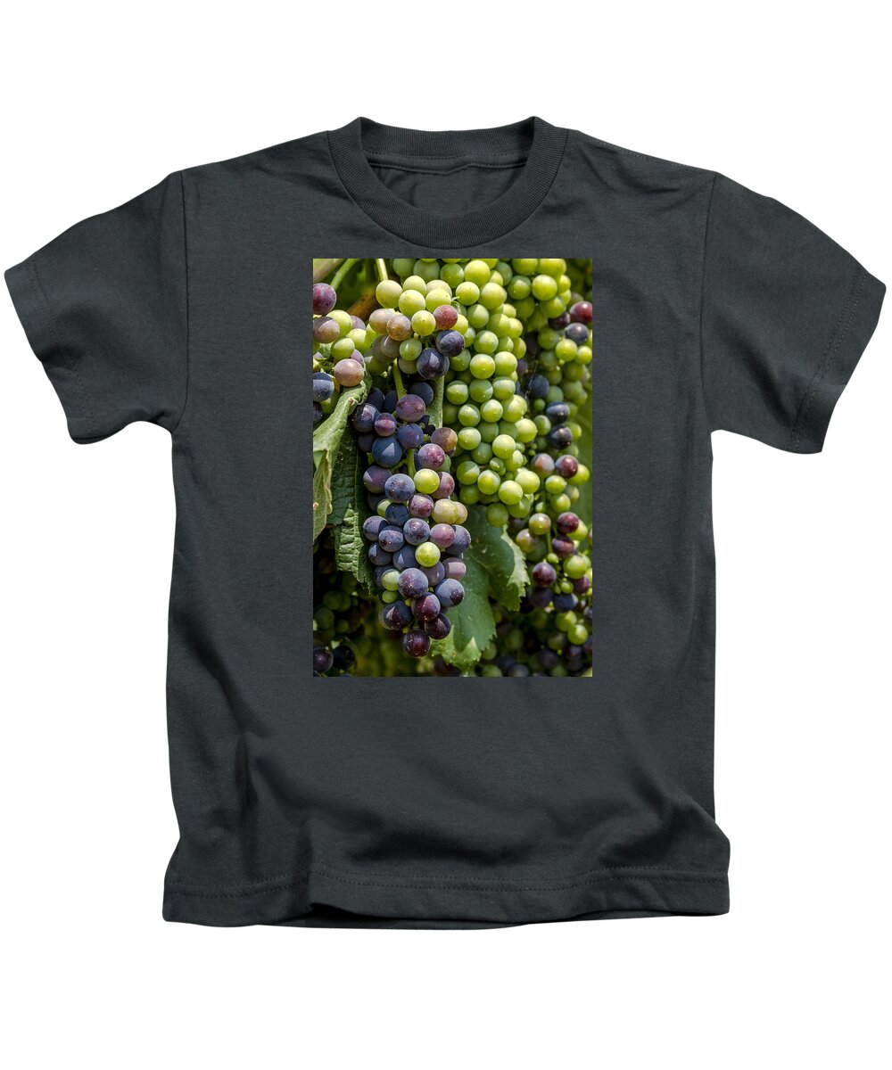 Colorado Vineyard Kids T-Shirt featuring the photograph Red Wine Grapes in the Vineyard by Teri Virbickis
