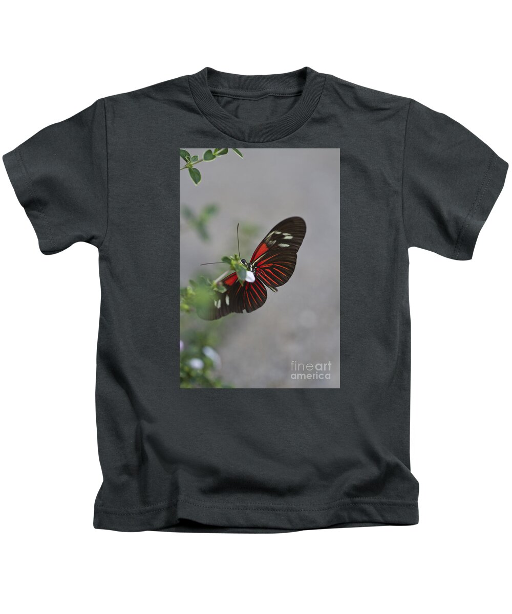 Butterfly Kids T-Shirt featuring the photograph Red Wing by Douglas Kikendall