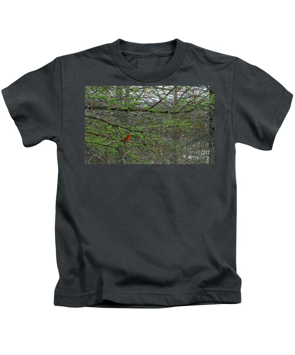 Nature Kids T-Shirt featuring the photograph Redbird by Barry Bohn
