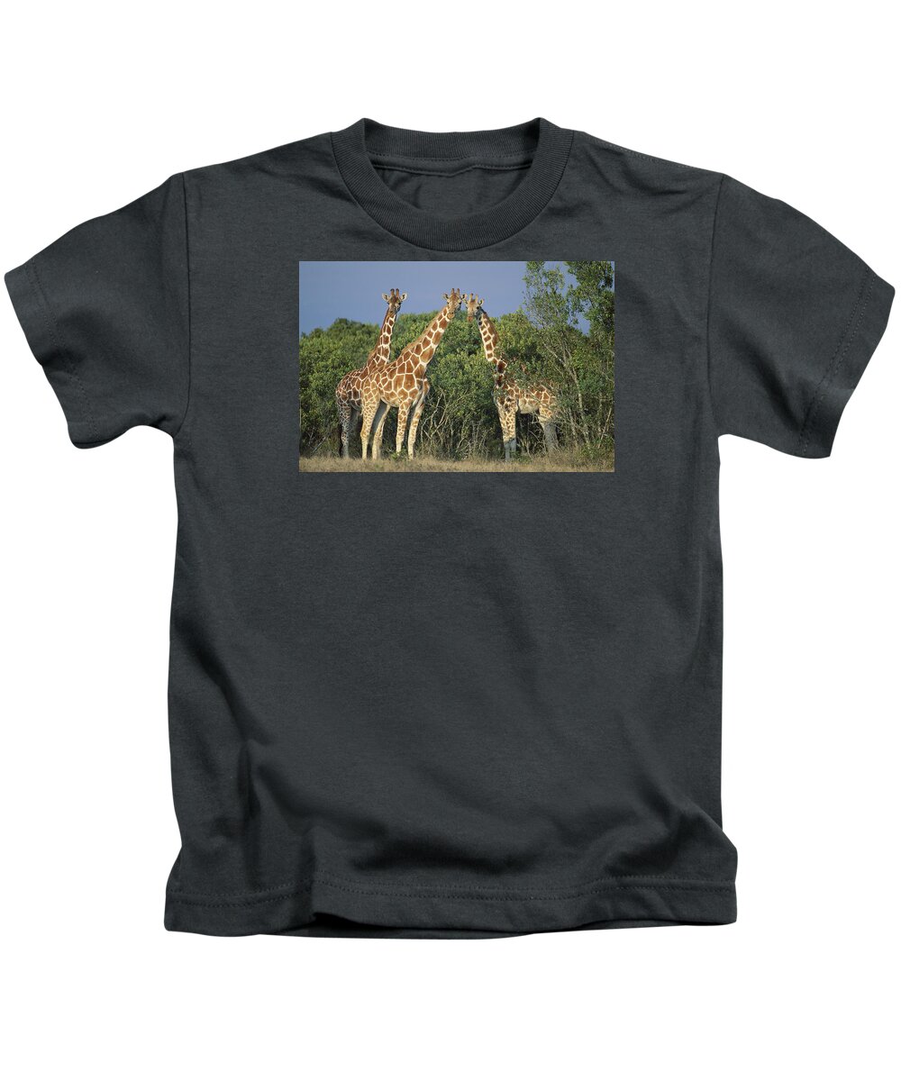00910207 Kids T-Shirt featuring the photograph Reticulated Giraffe Trio by Kevin Schafer