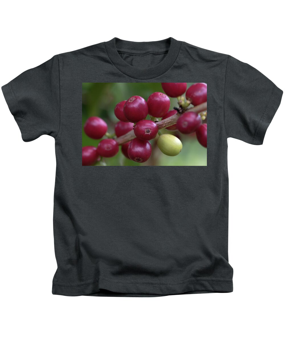 Kona Coffee Cherries Kids T-Shirt featuring the photograph Ripe Kona Coffee Cherries by Susan Rissi Tregoning