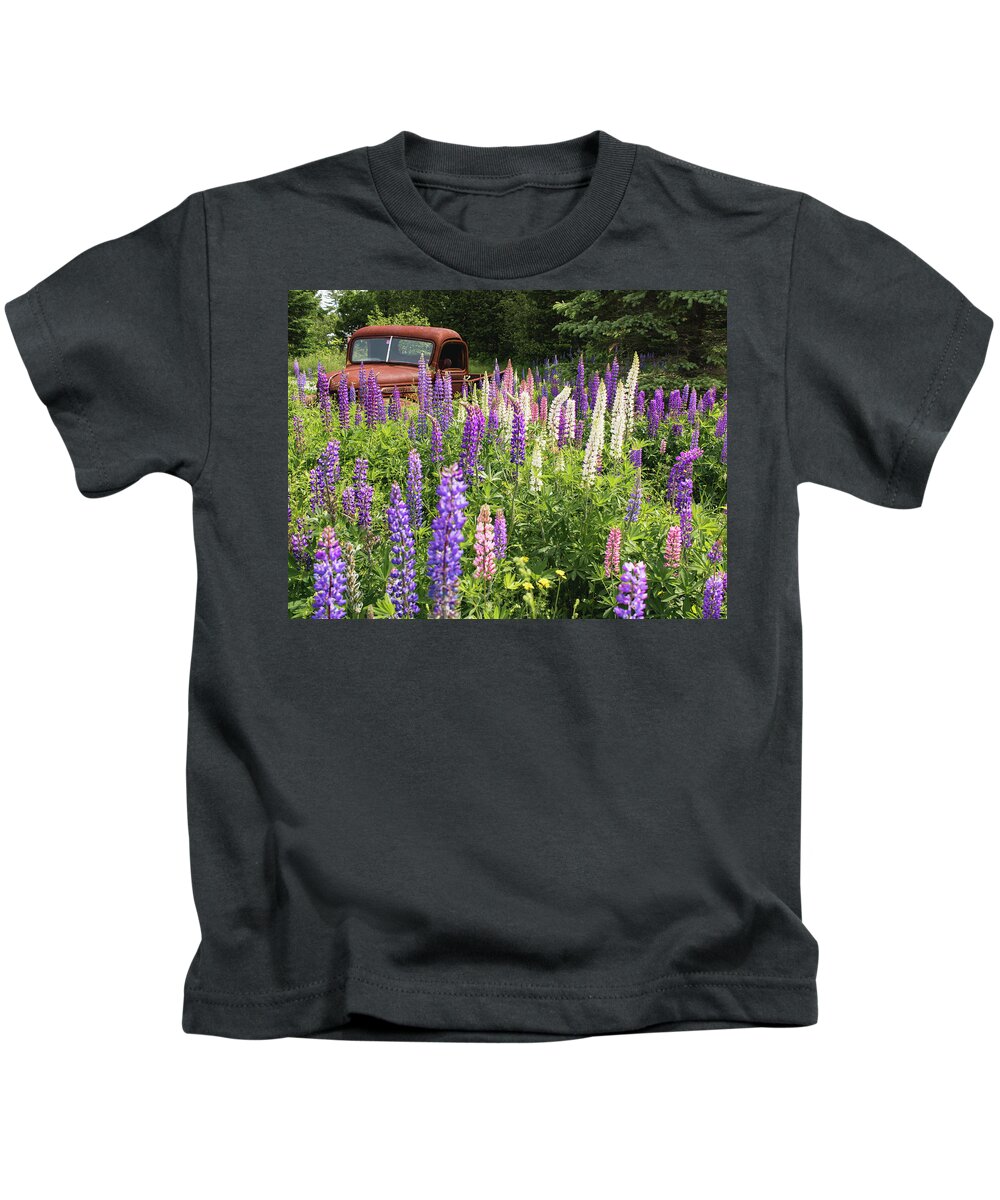 Lupines Kids T-Shirt featuring the photograph Roadside Attraction by Holly Ross