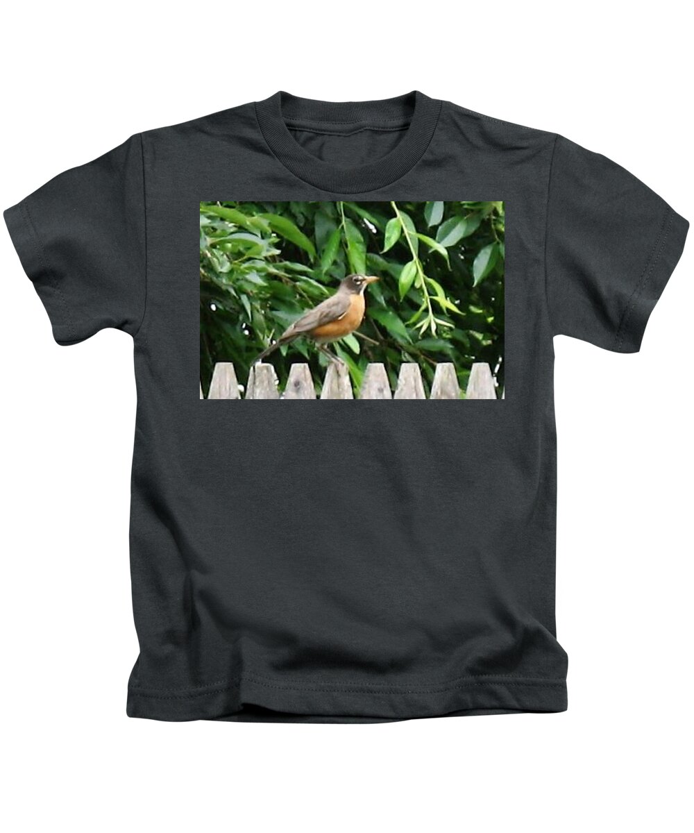 Birds Kids T-Shirt featuring the photograph Robin by Ed Smith