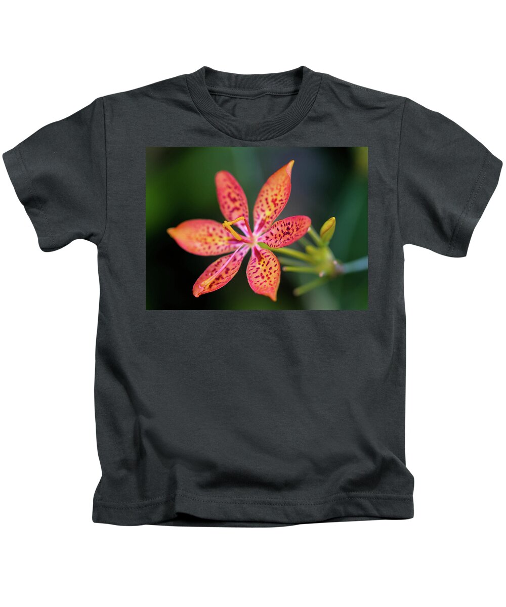Flower Kids T-Shirt featuring the photograph Room to Grow by Mary Anne Delgado