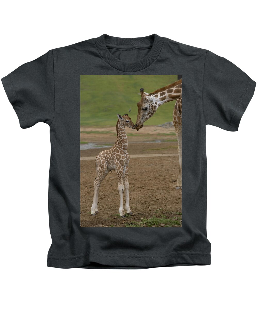 Mp Kids T-Shirt featuring the photograph Rothschild Giraffe Giraffa by San Diego Zoo