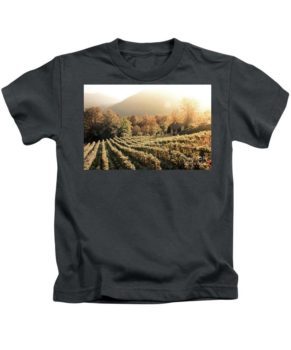 Autumn Kids T-Shirt featuring the photograph Rows of vine in a vineyard in ticino, switzerland at sunset by Amanda Mohler