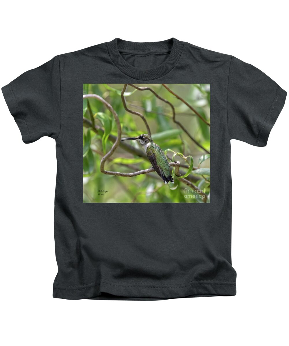 Hummingbirds Kids T-Shirt featuring the photograph Ruby-Throated Hummingbird - Female by DB Hayes
