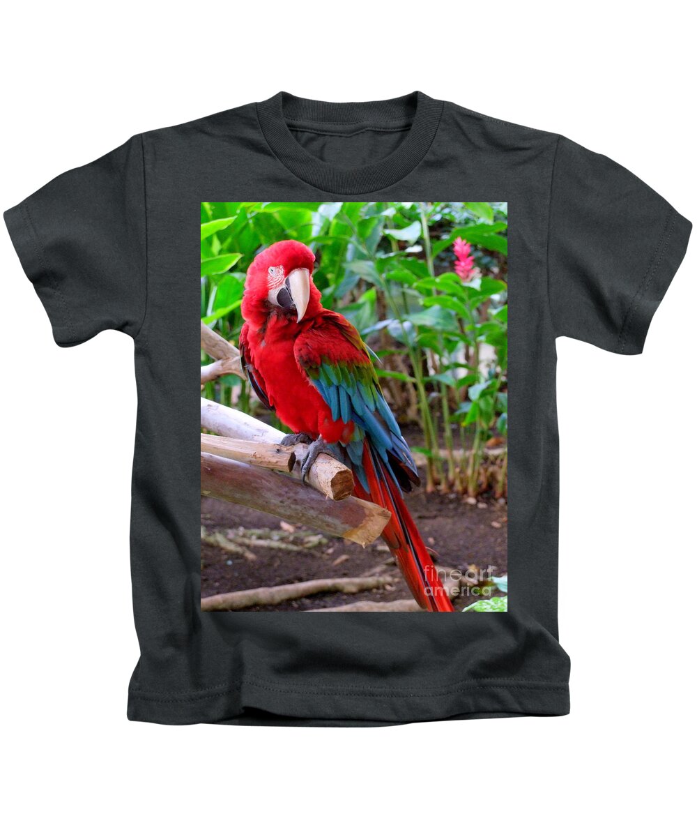 Mary Deal Kids T-Shirt featuring the photograph Scarlet Macaw No 2 by Mary Deal