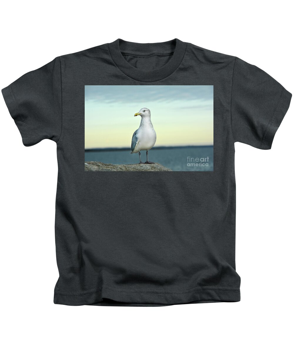 Seagull Kids T-Shirt featuring the digital art Seagull at Dusk by Dianne Morgado