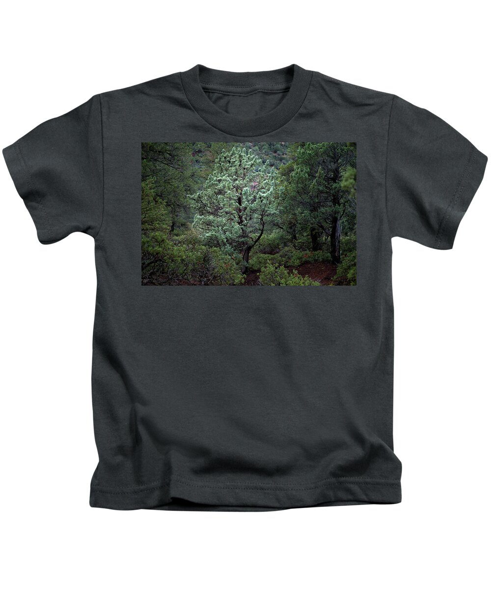 Lone Tree Kids T-Shirt featuring the photograph Sedona Tree #1 by David Chasey