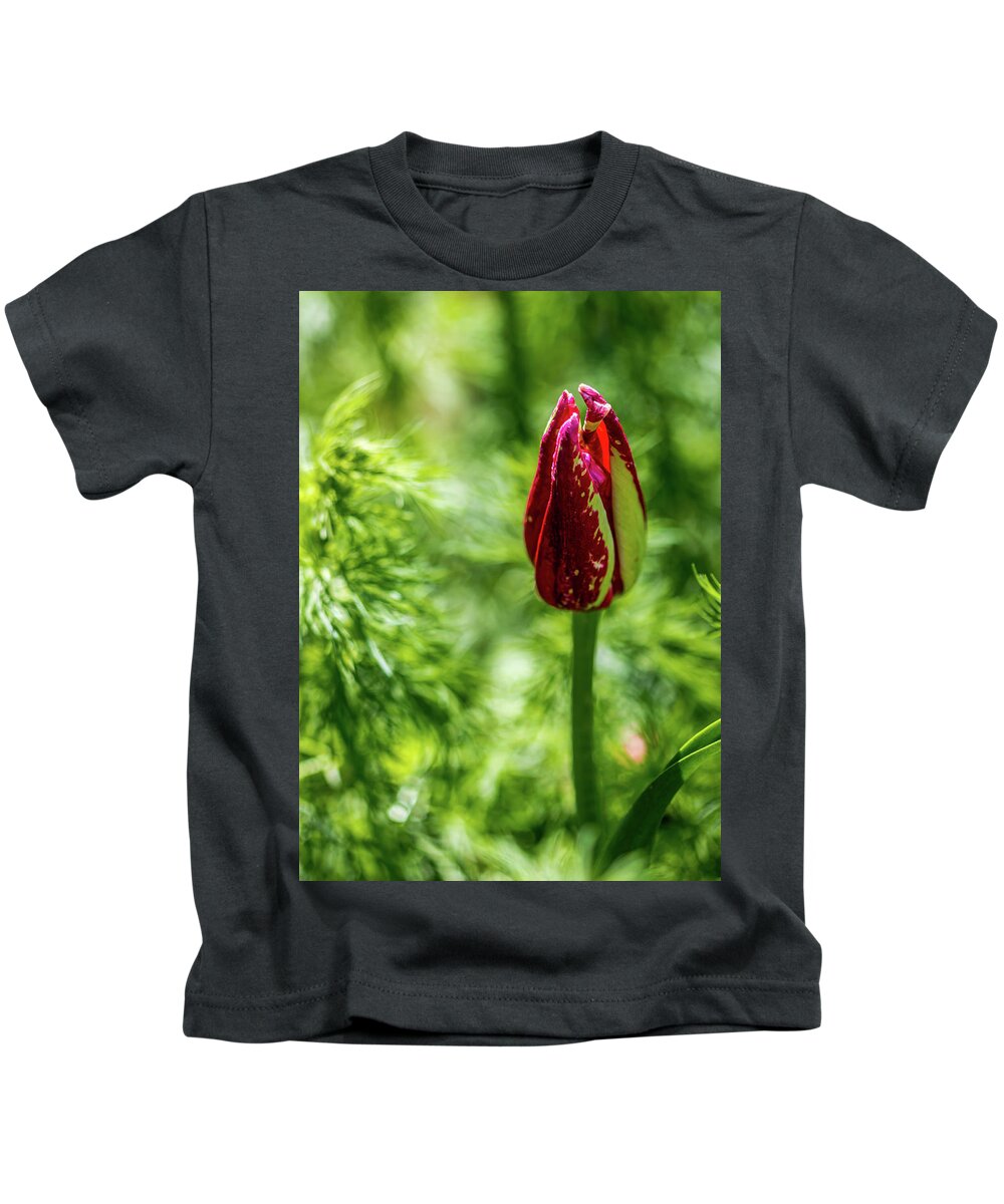 Tulip Kids T-Shirt featuring the photograph Shy Tulip by Susie Weaver