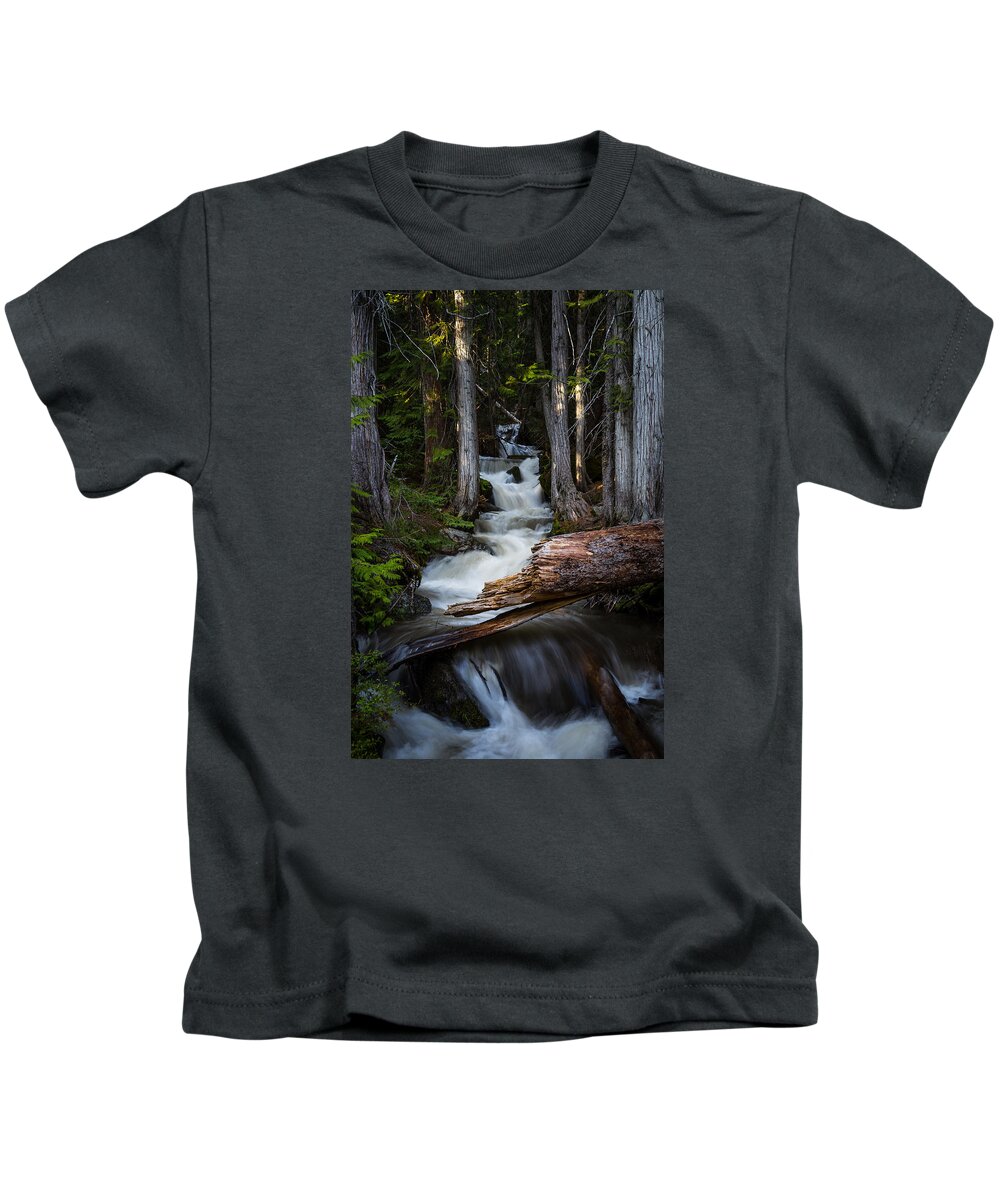Waterfall Kids T-Shirt featuring the photograph Silver Falls by Jason Roberts