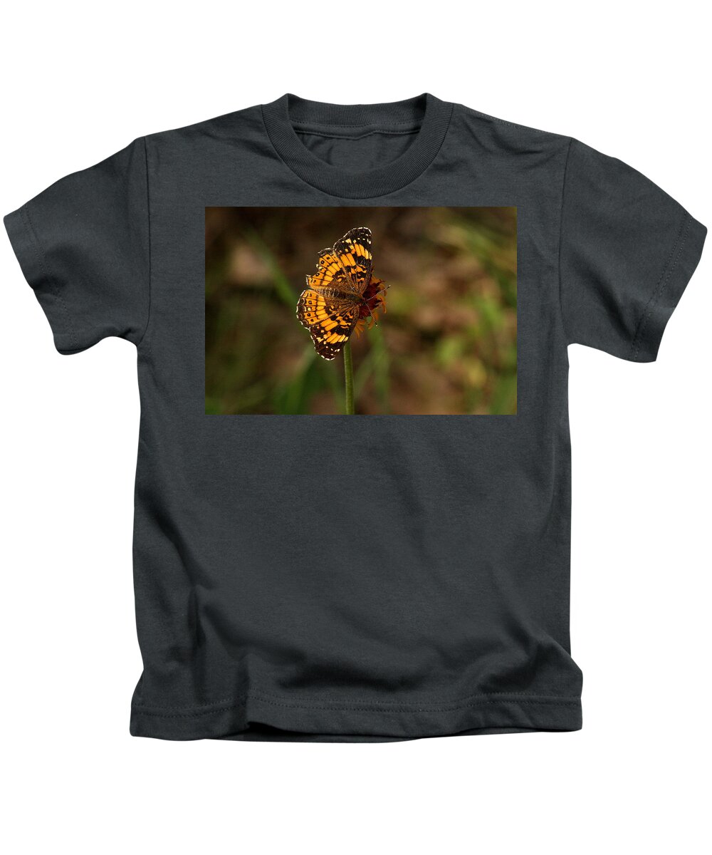 Nature Kids T-Shirt featuring the photograph Silvery Checkerspot Butterfly by Sheila Brown