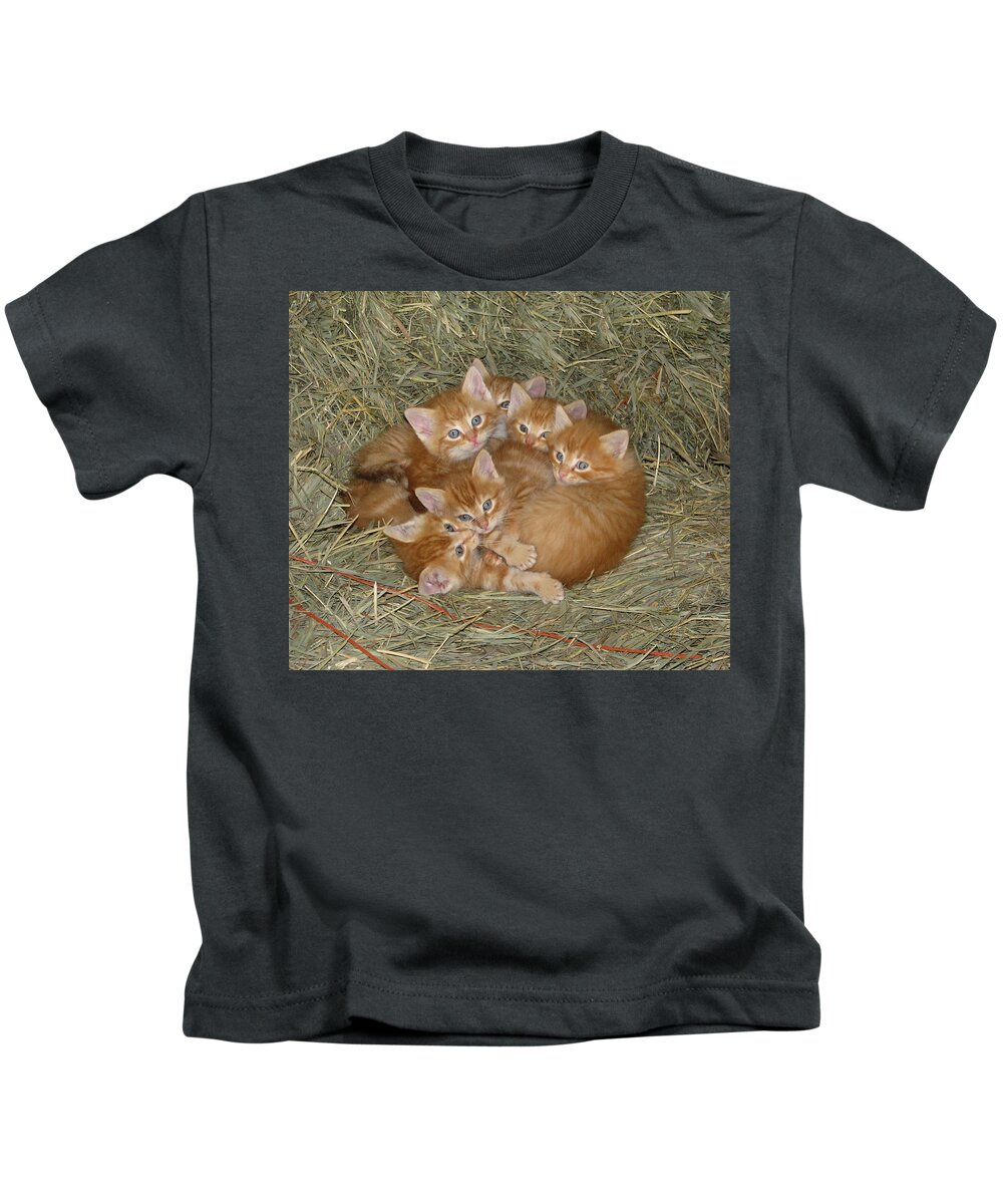 Kittens Kids T-Shirt featuring the photograph Six Kittens by Keith Stokes