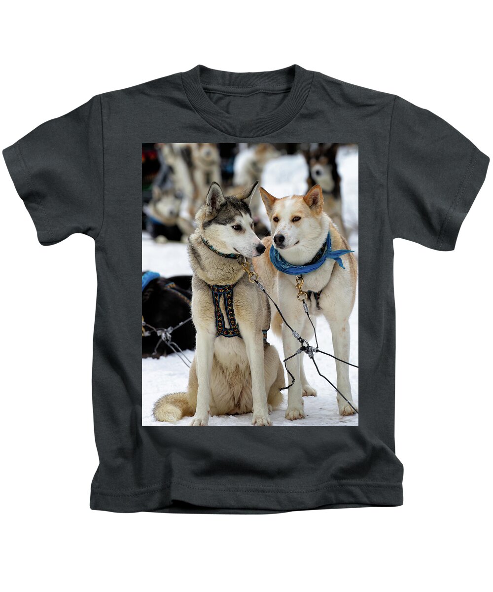 Dog Kids T-Shirt featuring the photograph Sled Dogs by David Buhler