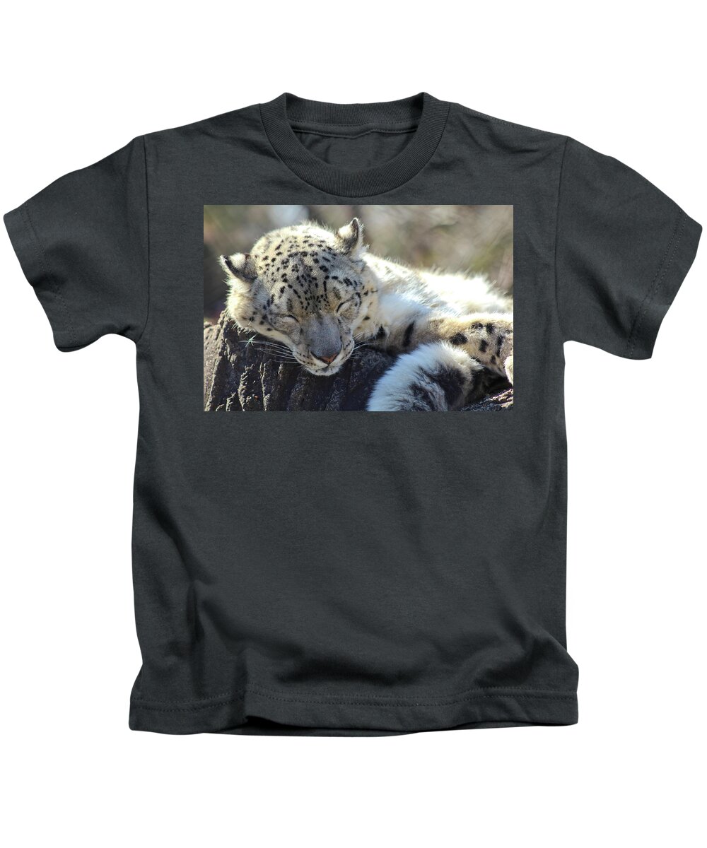Snow Leopard Kids T-Shirt featuring the photograph Sleeping Snow Leopard by Holly Ross