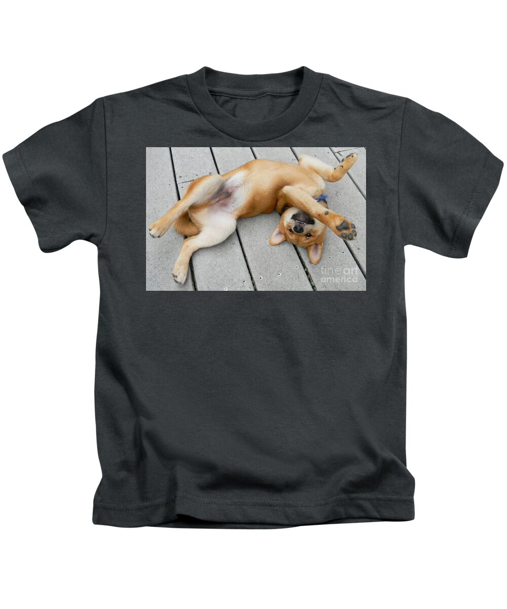 Puppy Inu Shiba 8weeks Toothy-grin Big Happy Smile Kids T-Shirt featuring the photograph Smiling puppie by Priscilla Batzell Expressionist Art Studio Gallery