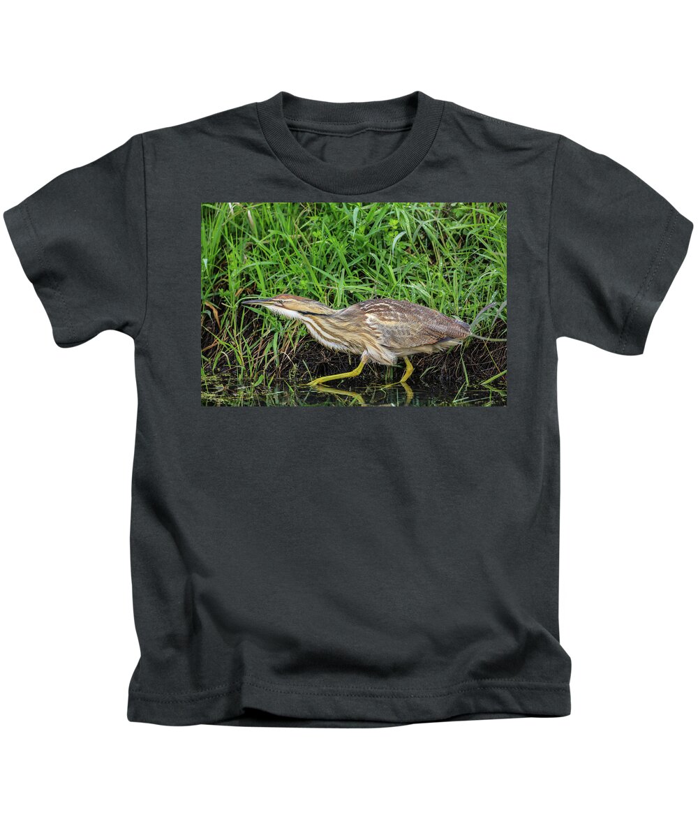 Sam Amato Photography Kids T-Shirt featuring the photograph Sneaking Bittern by Sam Amato