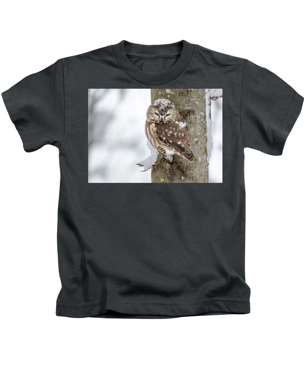 Saw-whet Owl Kids T-Shirt featuring the photograph Snow Bird by Joy McAdams
