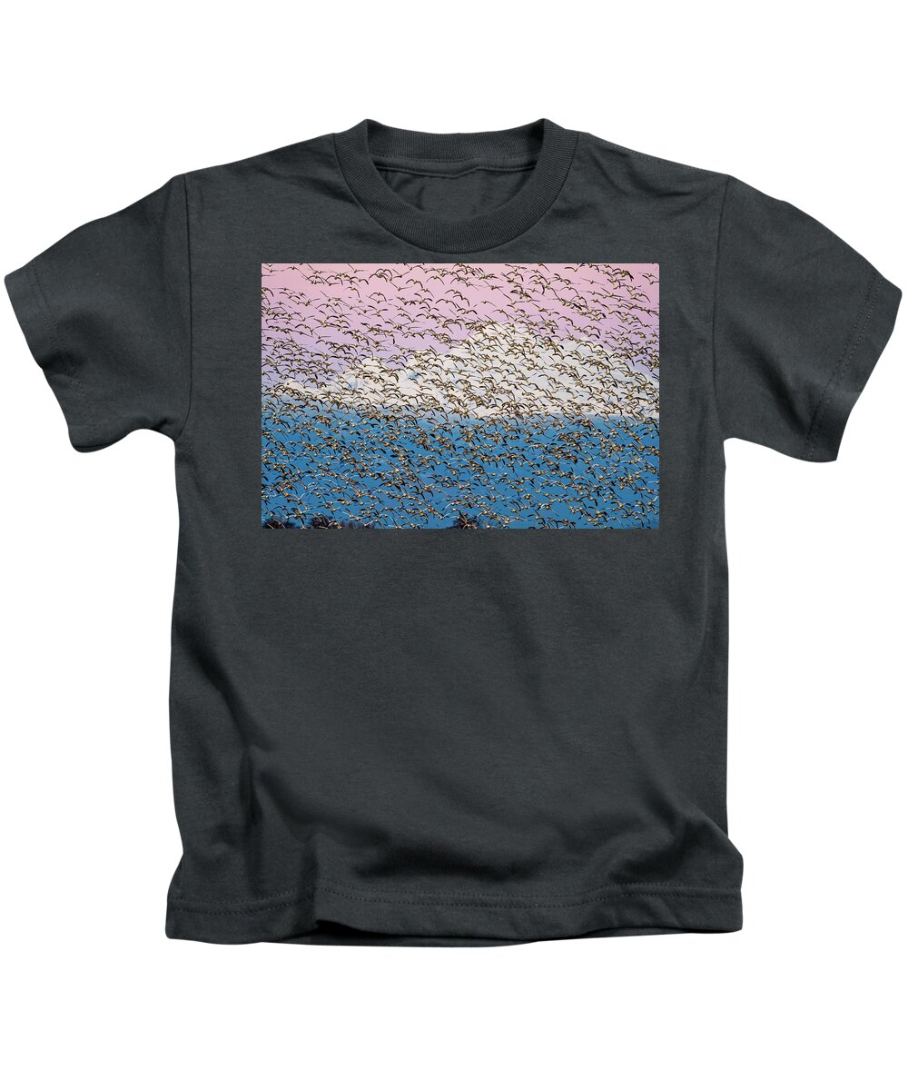 Snow Geese Kids T-Shirt featuring the photograph Snow geese at sunset by Yoshiki Nakamura