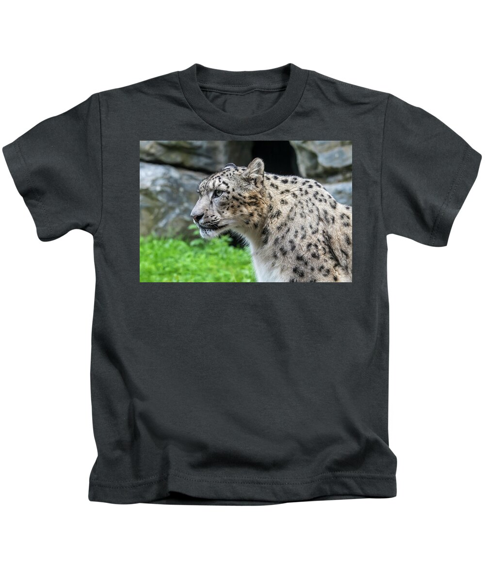 Snow Leopard Kids T-Shirt featuring the photograph Snow Leopard, Asia by Arterra Picture Library