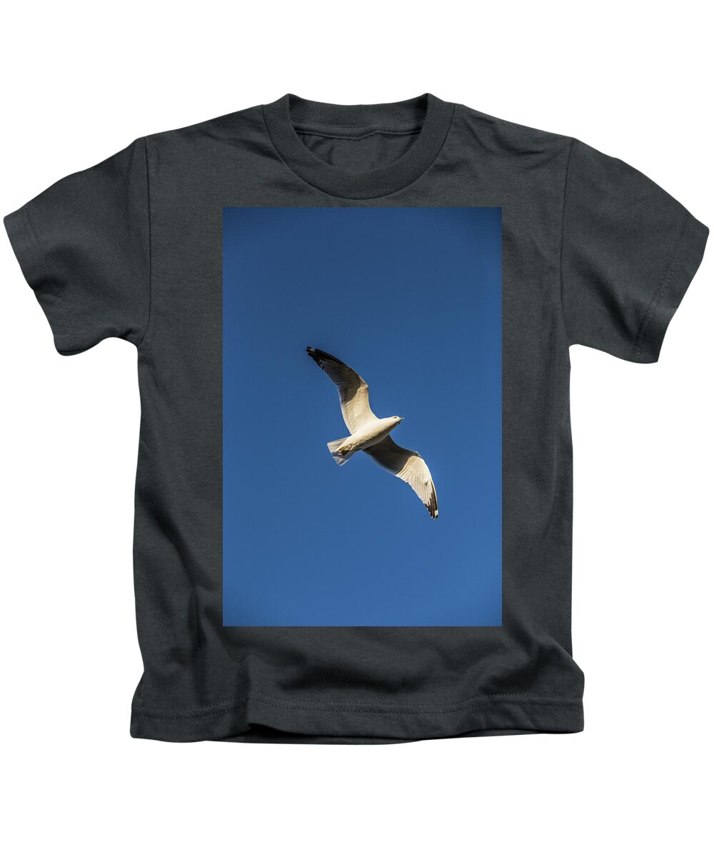 Photograph Kids T-Shirt featuring the photograph Soaring Bird by Jason Hughes