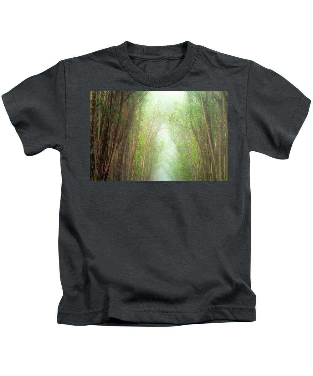 Landscape Kids T-Shirt featuring the photograph Soft Forest Light by Christopher Johnson