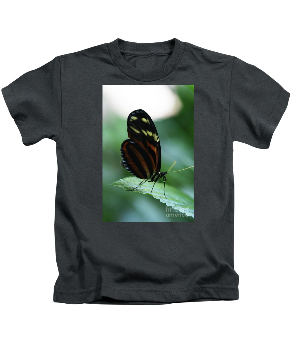 Butterfly Kids T-Shirt featuring the photograph Soft Touch by Linda Shafer