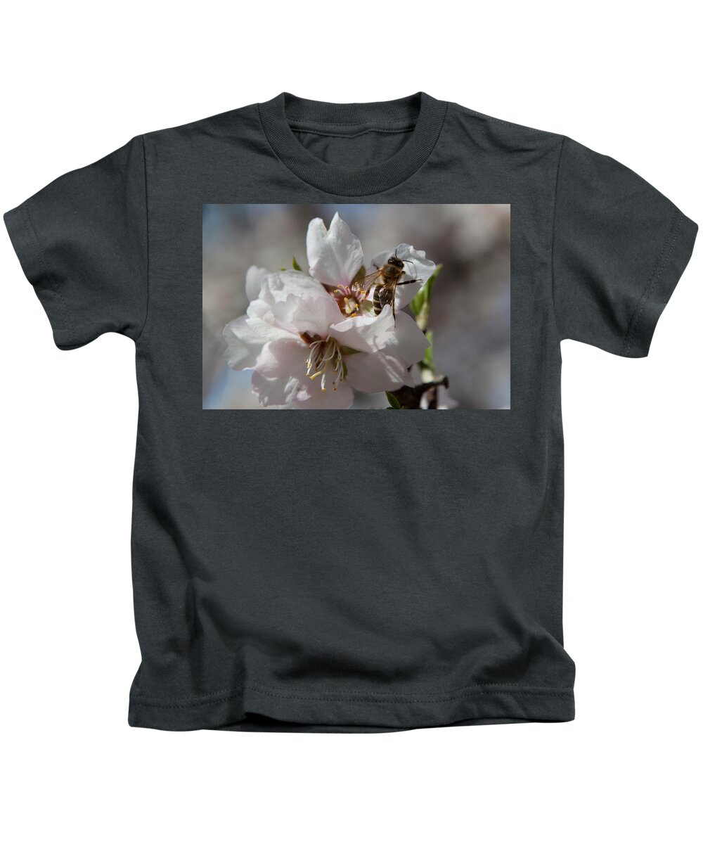 Bee Kids T-Shirt featuring the photograph Spring Buzz by Denise Dethlefsen