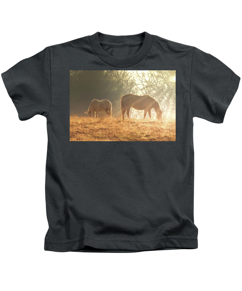 Horses Kids T-Shirt featuring the photograph Spring morning in the Ozarks by Allin Sorenson
