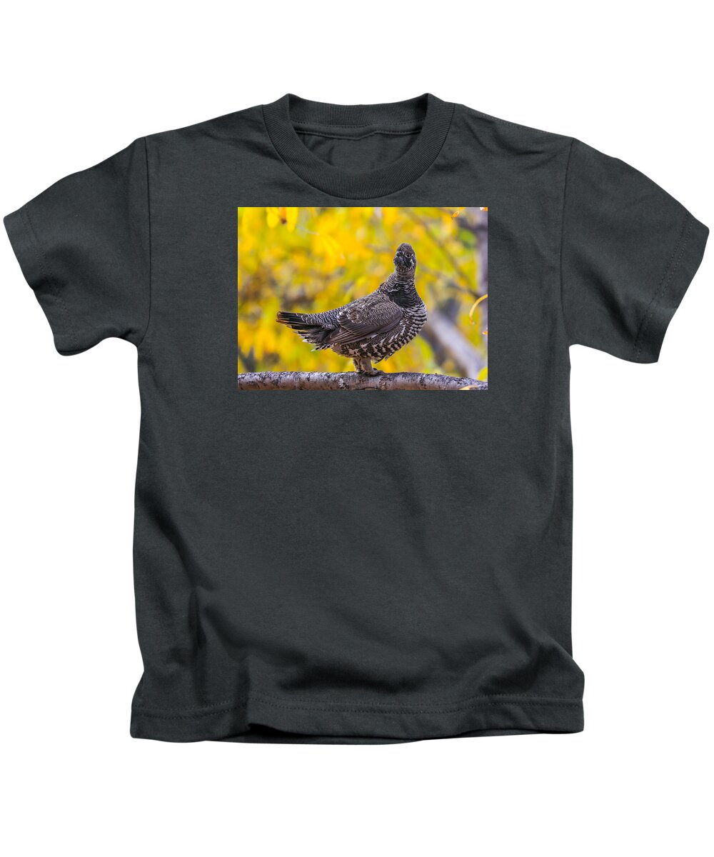Sam Amato Photography Kids T-Shirt featuring the photograph Spruce Grouse by Sam Amato