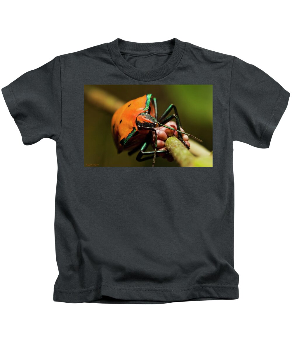 Macro Photography Kids T-Shirt featuring the photograph Stink bug 666 by Kevin Chippindall
