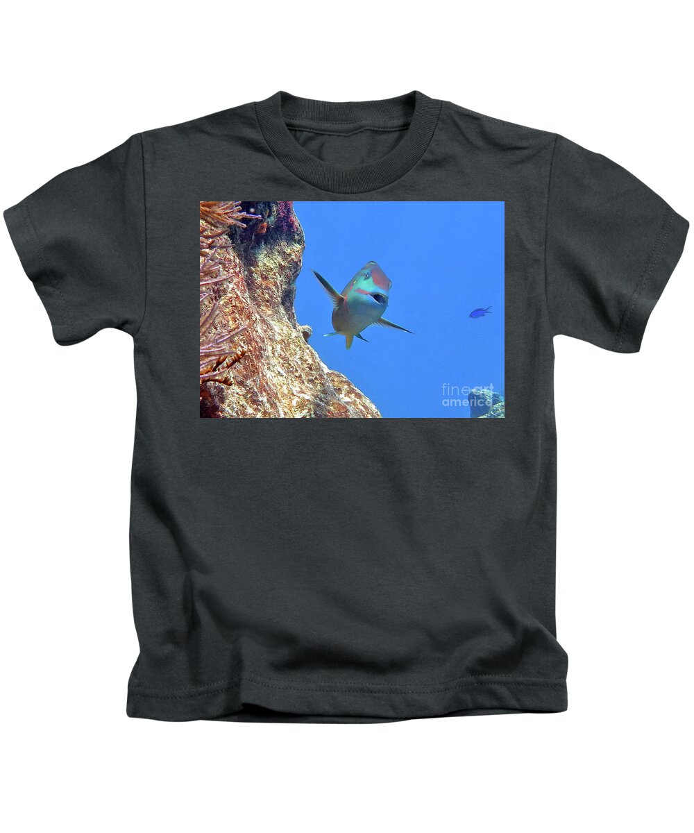Underwater Kids T-Shirt featuring the photograph Stoplight Parrotfish 2 by Daryl Duda