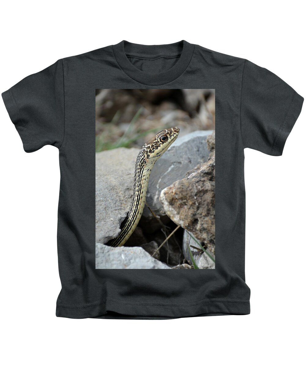 Striped Whipsnake Kids T-Shirt featuring the photograph Striped Whipsnake, Masticophis taeniatus by Breck Bartholomew