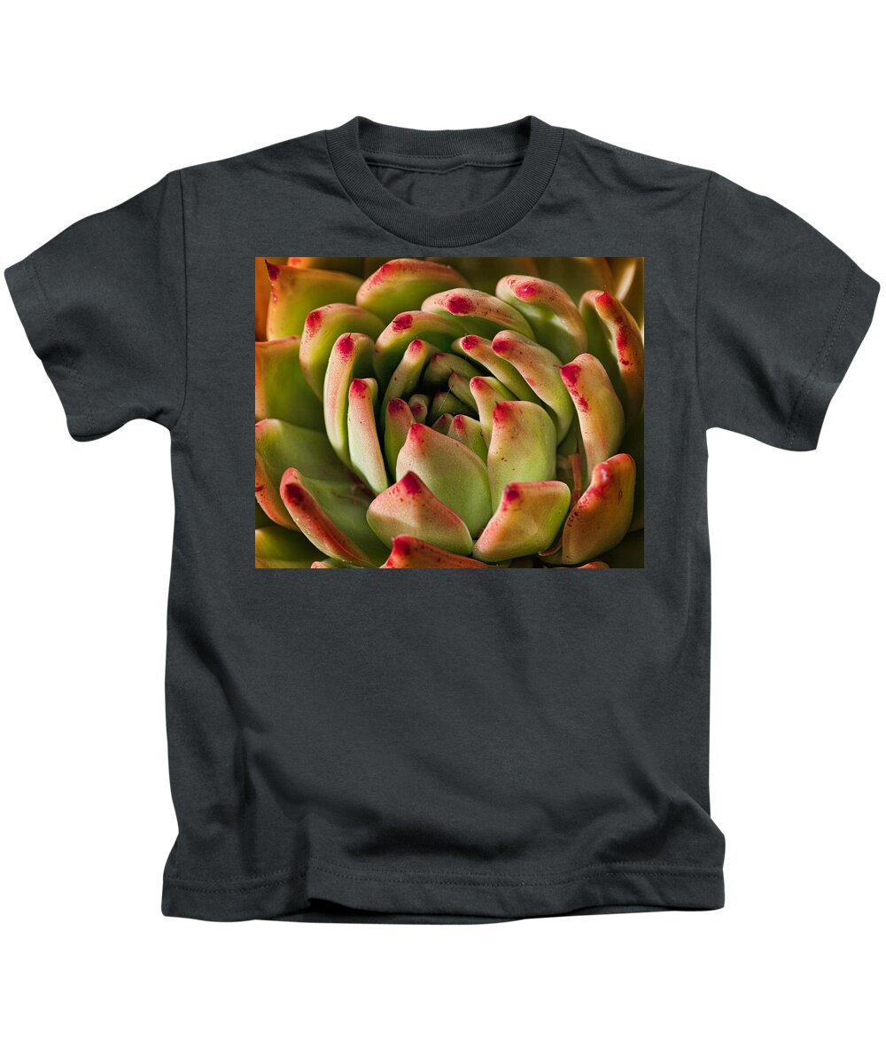 Succulent Kids T-Shirt featuring the photograph Succulent Petals by Kelley King