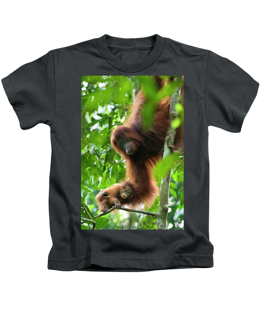 Mp Kids T-Shirt featuring the photograph Sumatran Orangutan Pongo Abelii Two by Suzi Eszterhas