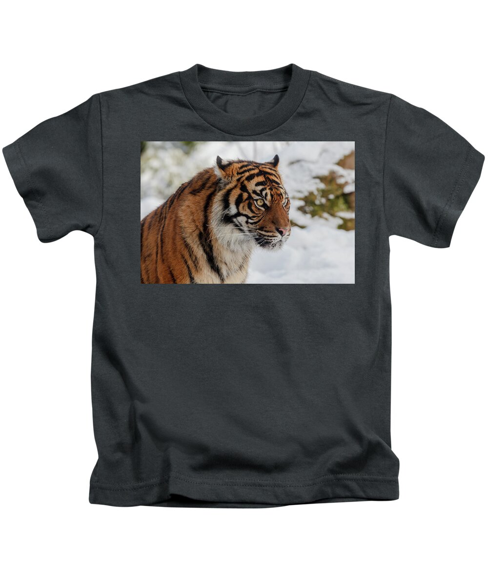 Animal Kids T-Shirt featuring the photograph Sumatran Tiger in the snow by Tim Abeln