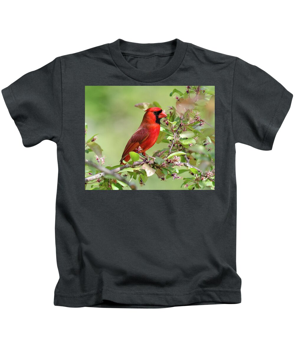 Cardinal Kids T-Shirt featuring the photograph Summer Cardinal by Kristin Hatt