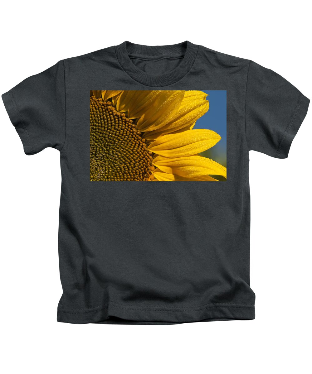 Annuals Kids T-Shirt featuring the photograph Sunflower by Robert Potts