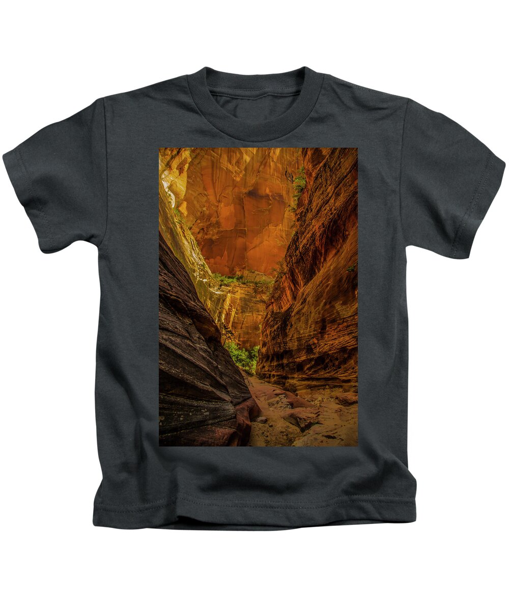 Beautiful Late Afternoon Sunlit Colors Light Up The Echo Canyon Slot Along The Observation Point Trail In Zion National Park. Kids T-Shirt featuring the photograph Sunlit Colors in the Slot by Doug Scrima