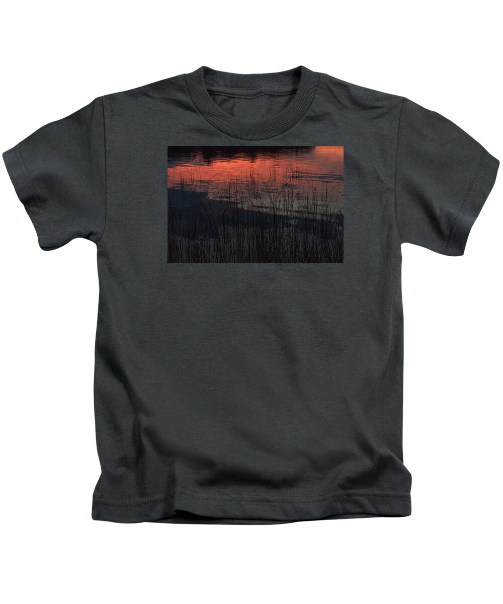 Camelot Island Kids T-Shirt featuring the photograph Sunset reeds by Gary Eason
