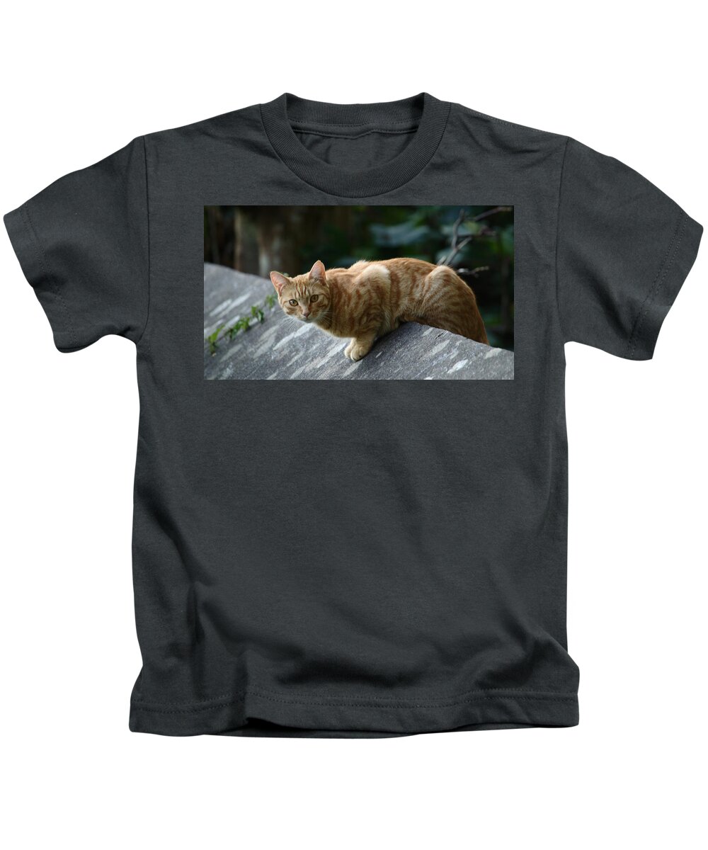 Cat Kids T-Shirt featuring the photograph Surprised To See You by Adrian Wale